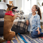 Dog and owner playing indoor games