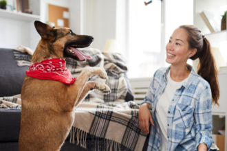 Dog and owner playing indoor games