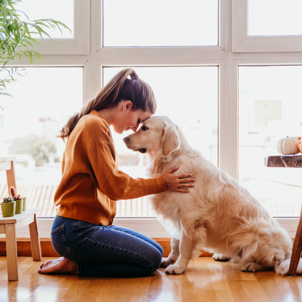 dog and owner at indoor training classses in winter