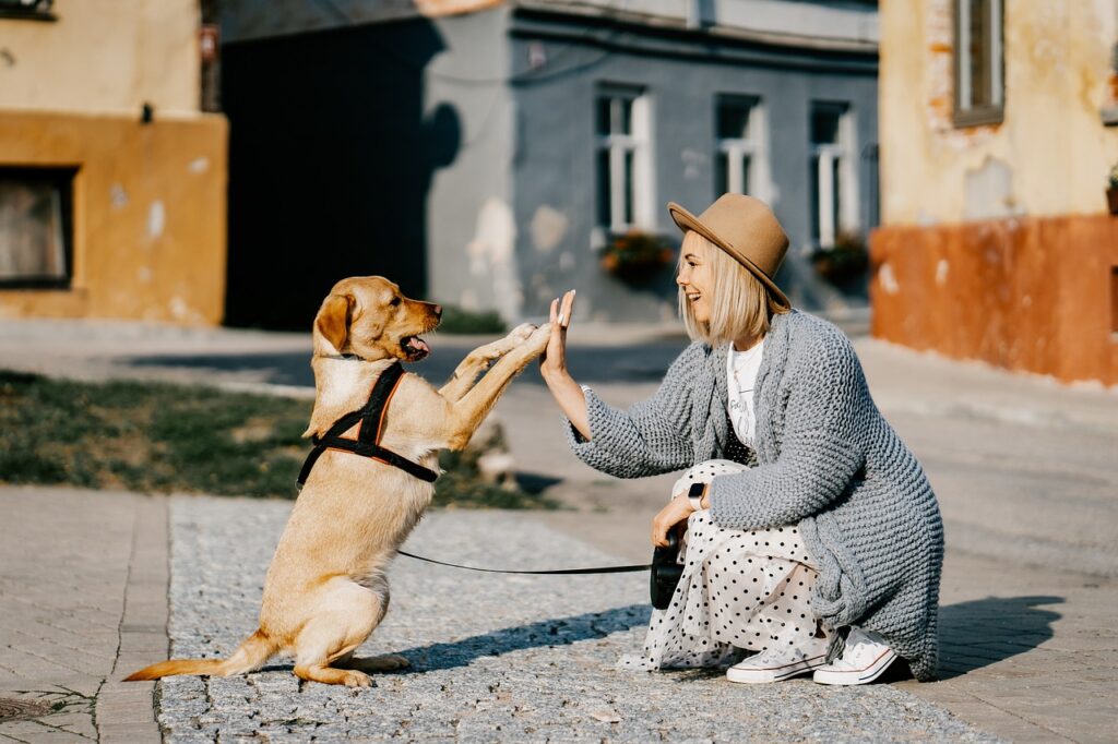 7 Simple Ways to Make Your Dogs Happy