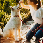 Understanding Your Dog's Body Language