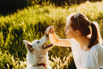 Understanding Your Dog's Body Language